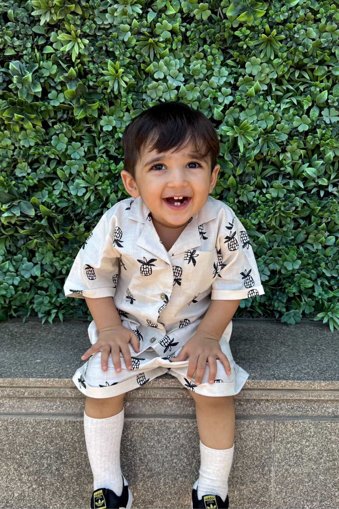 Pine Apple Plush Short Set