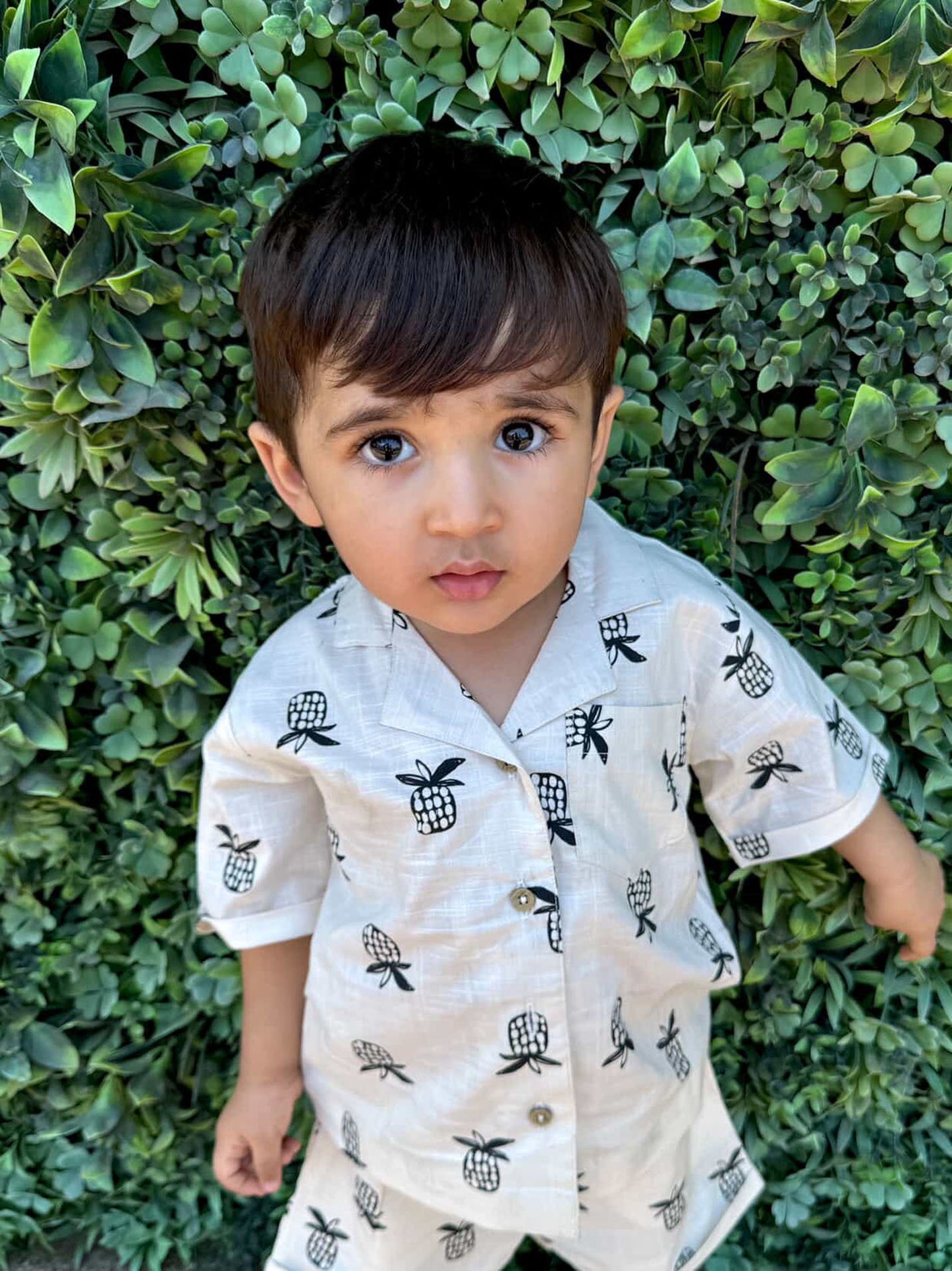 Pine Apple Plush Short Set