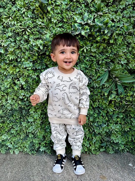 Wild dinos Joggers set